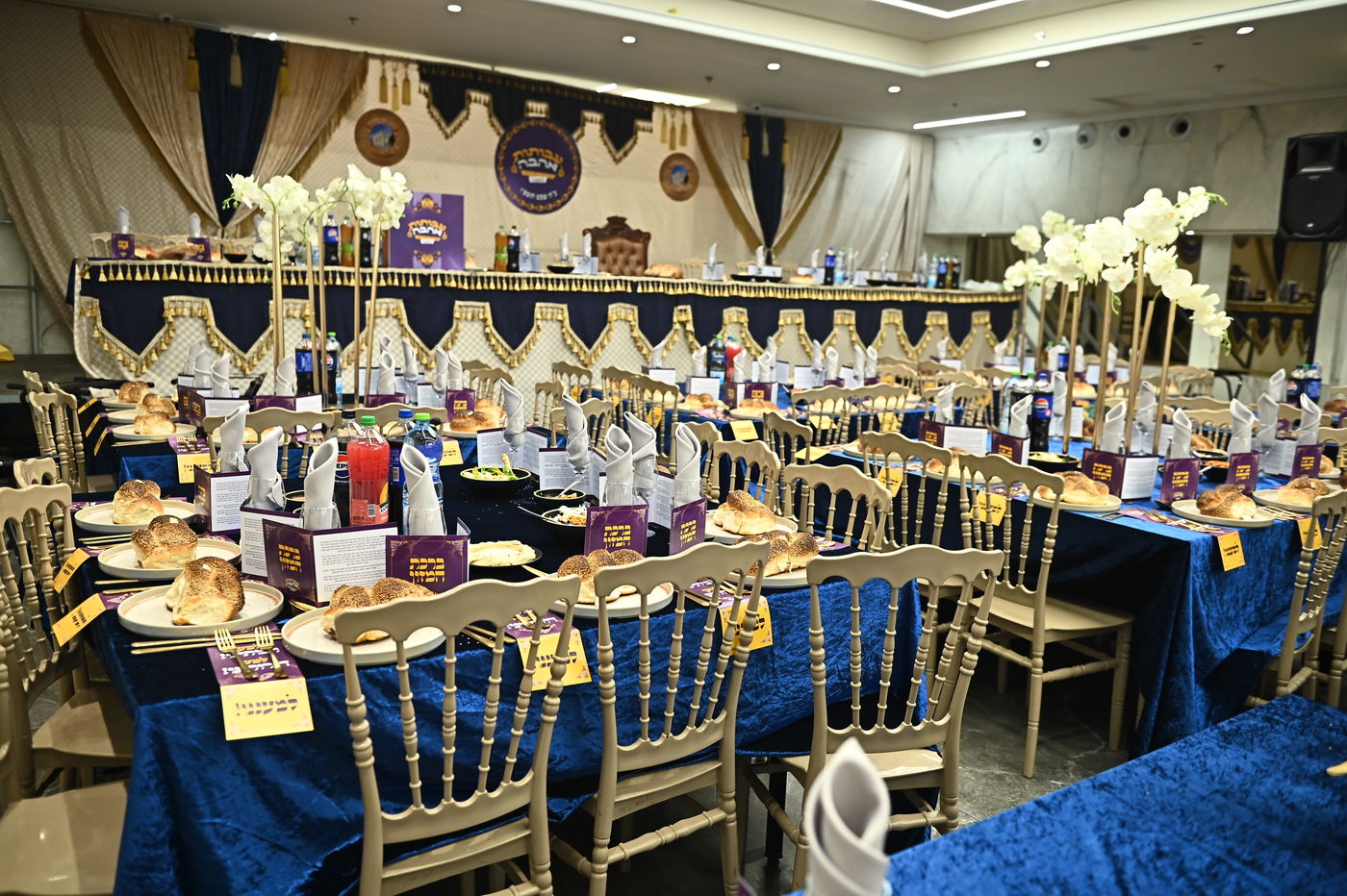 הילולא קדישא בשבט הלוי