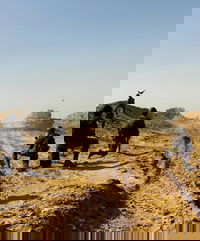 לוחמי צה"ל בלבנון