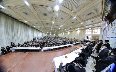 כינוס ילדי צאנז