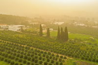 רמת השרון, השבוע