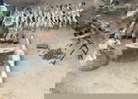 אמצעי הלחימה שנתפסו