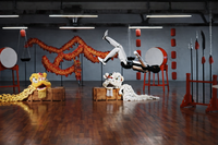 פרא אדם: הרובוט הסיני שמבצע סלטות באוויר ישאיר אתכם בהלם