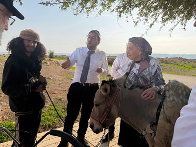 כותב השורות ישראל שפירא בסיור לפני מספר שבועות בנחל עוג'ה עם הגאון רבי ישראל רקובסקי ומשפחתו מקים ישיבת אור שמח ארה"ב