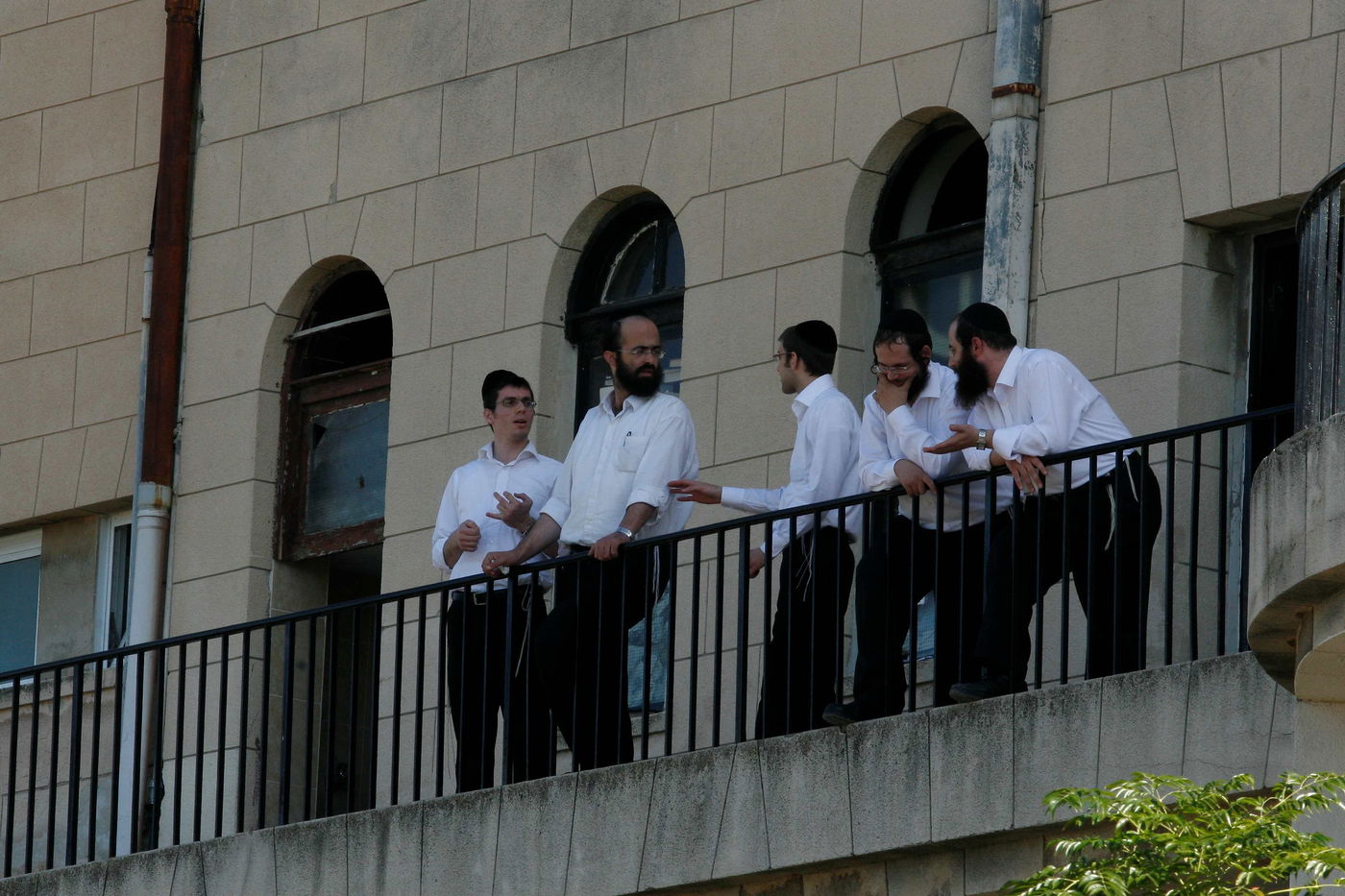 אילוסטרציה 