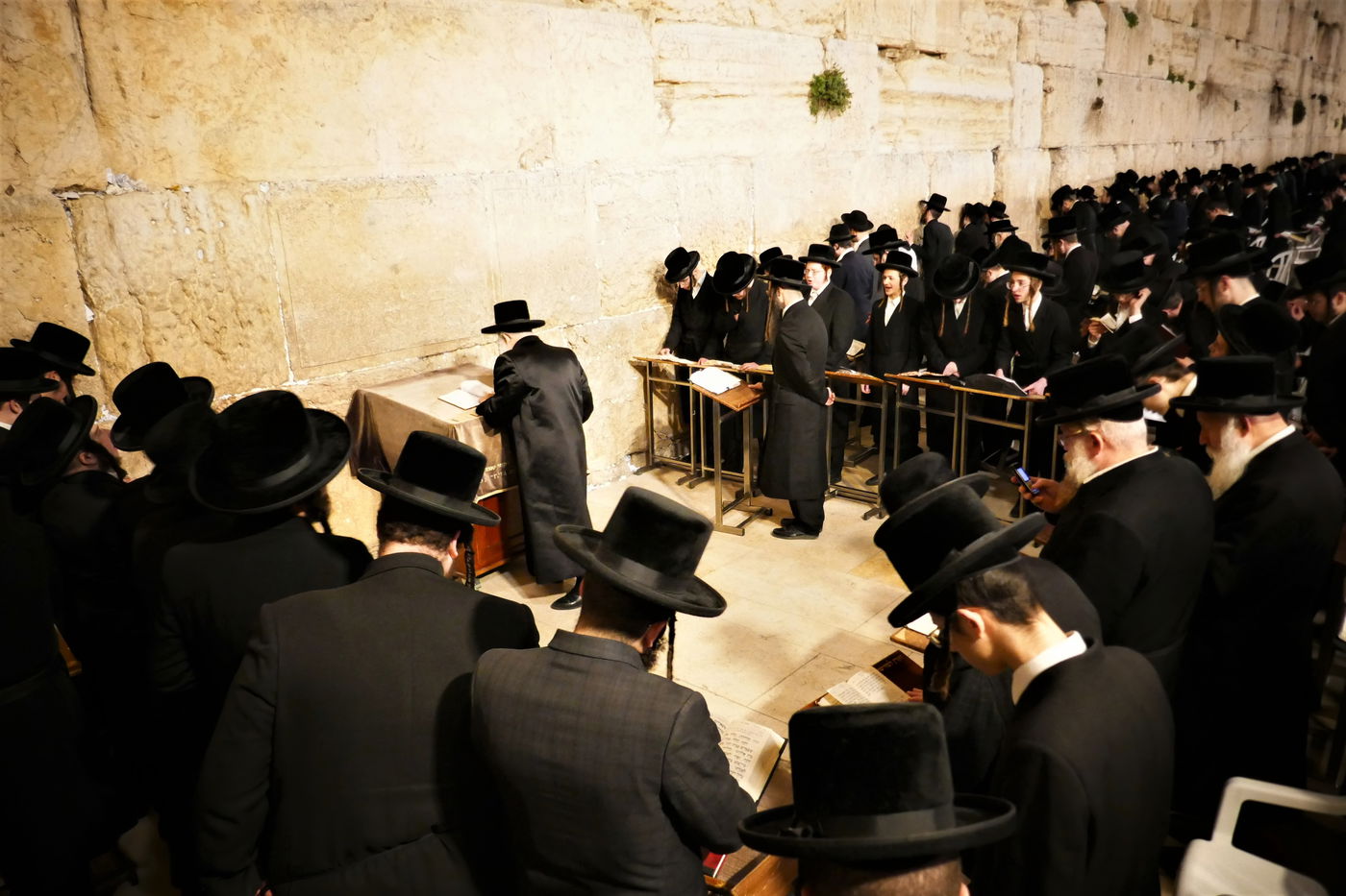 האדמו"ר מנדבורנה ירושלים בתפילה ע"י הכותל המערבי