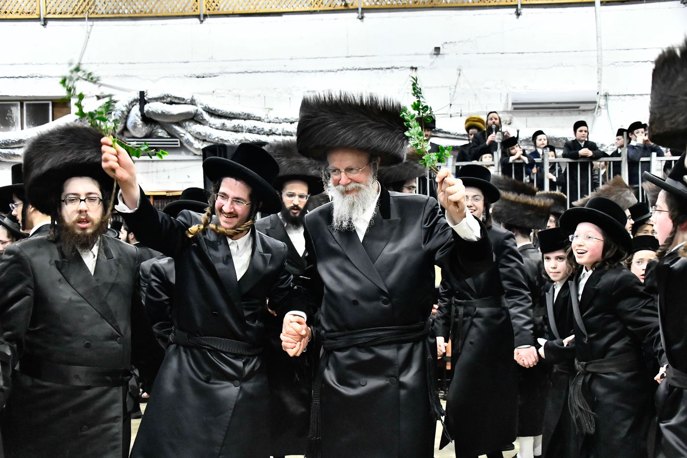 שמחת בית מכנובקא בעלזא - מעליץ - ביאלה ישרי לב