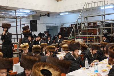 חתן מאל בחצה"ק מכנובקא בעלזא