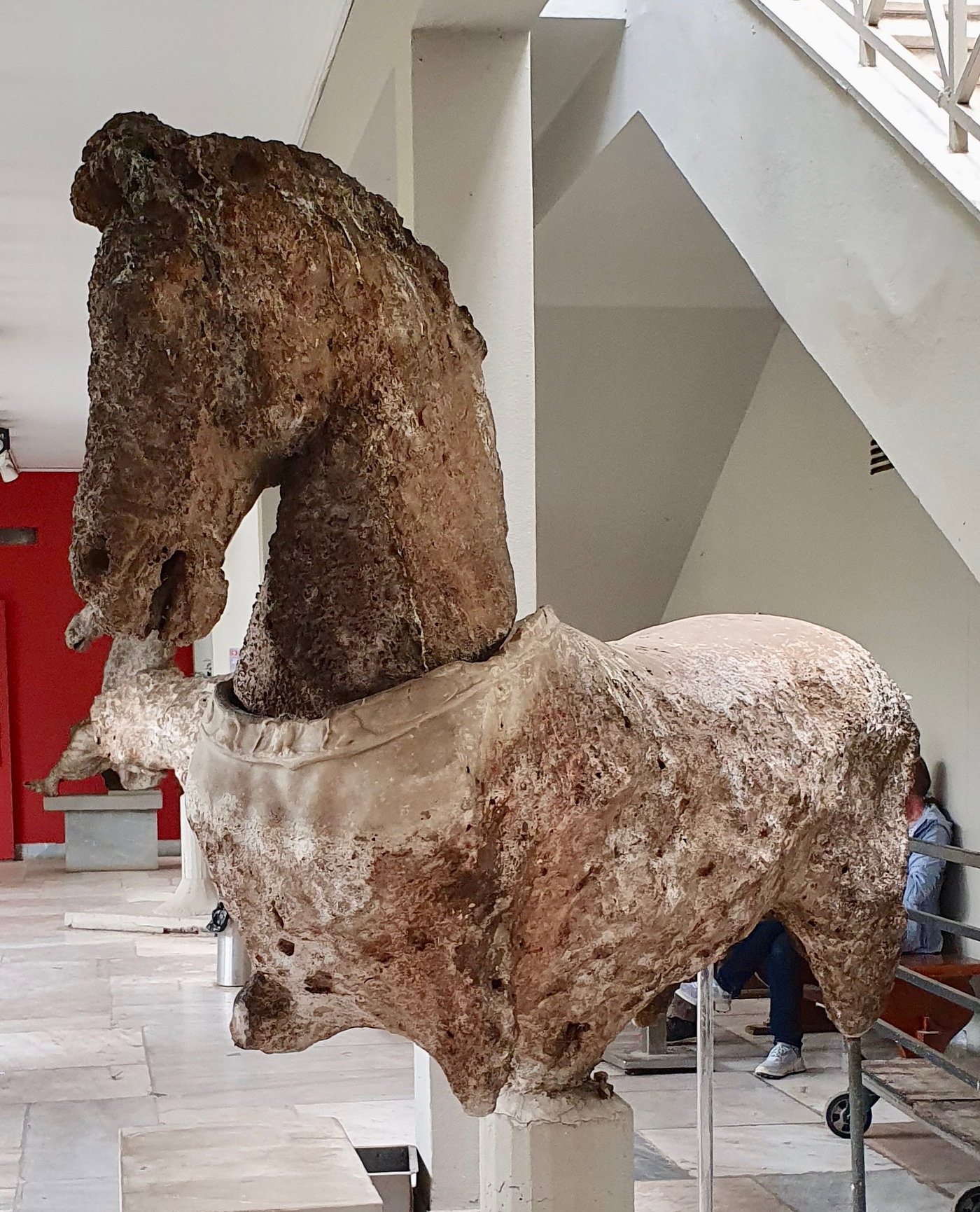 אחד מארבעת פסלי הסוסים שנמצאו בספינה