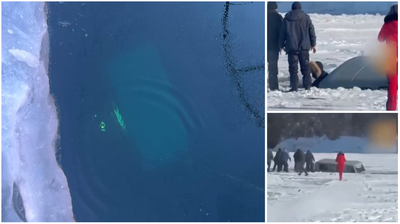 האוטובוס במצולות 