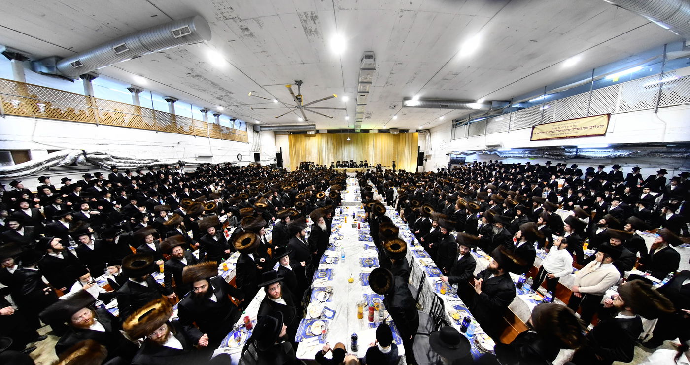 הכנסת ס"ת במכנובקא בעלזא