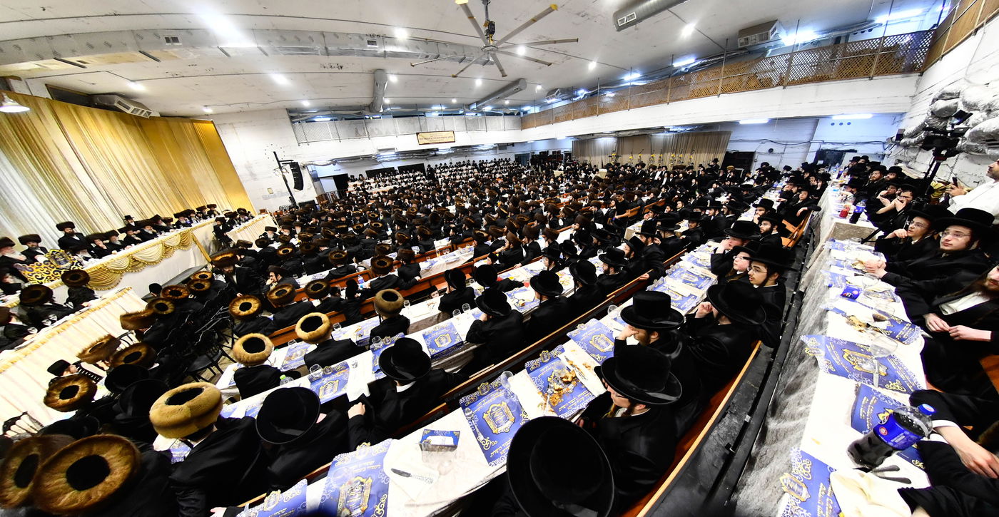 הכנסת ס"ת במכנובקא בעלזא