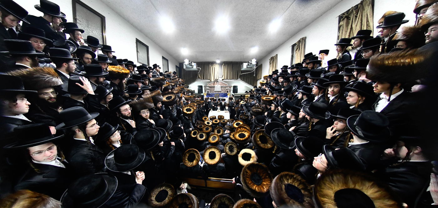 הכנסת ס"ת במכנובקא בעלזא