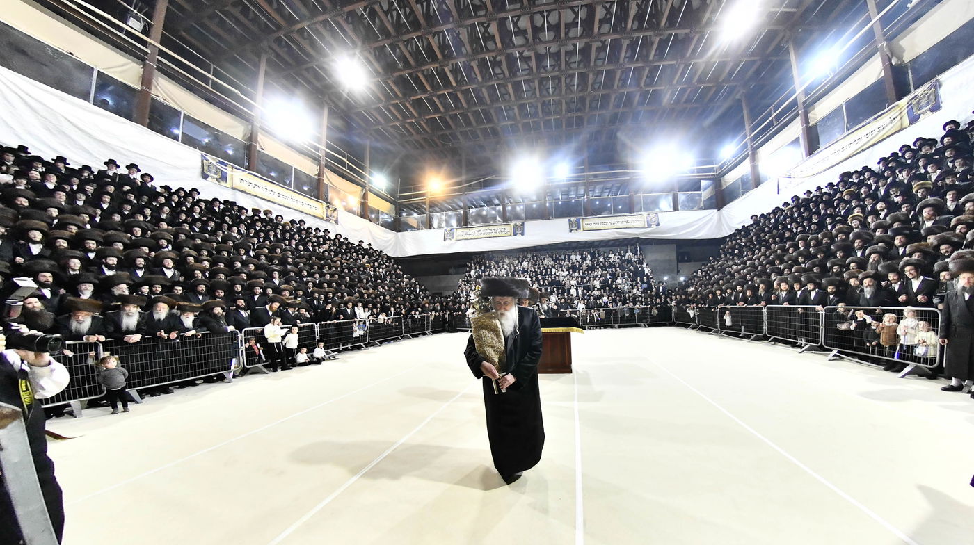 הכנסת ס"ת במכנובקא בעלזא