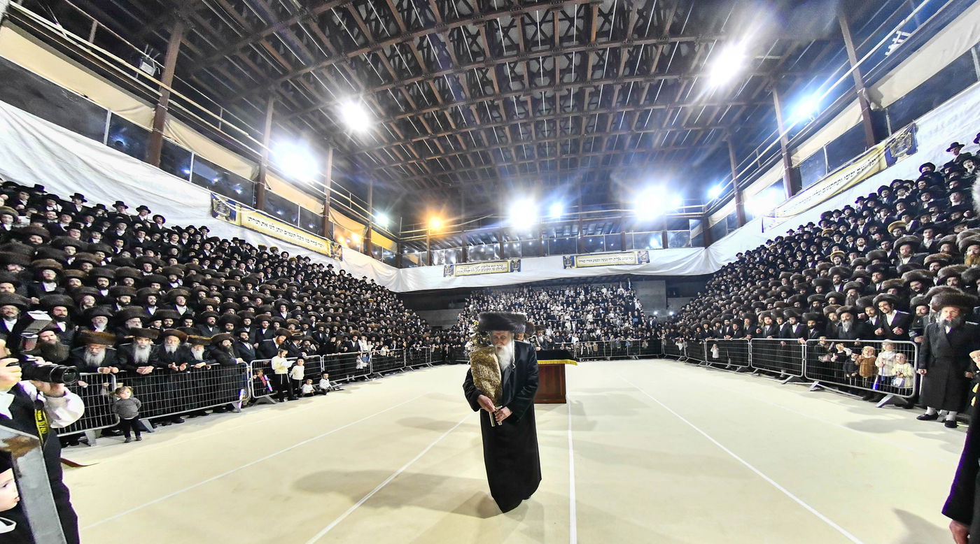 הכנסת ס"ת במכנובקא בעלזא