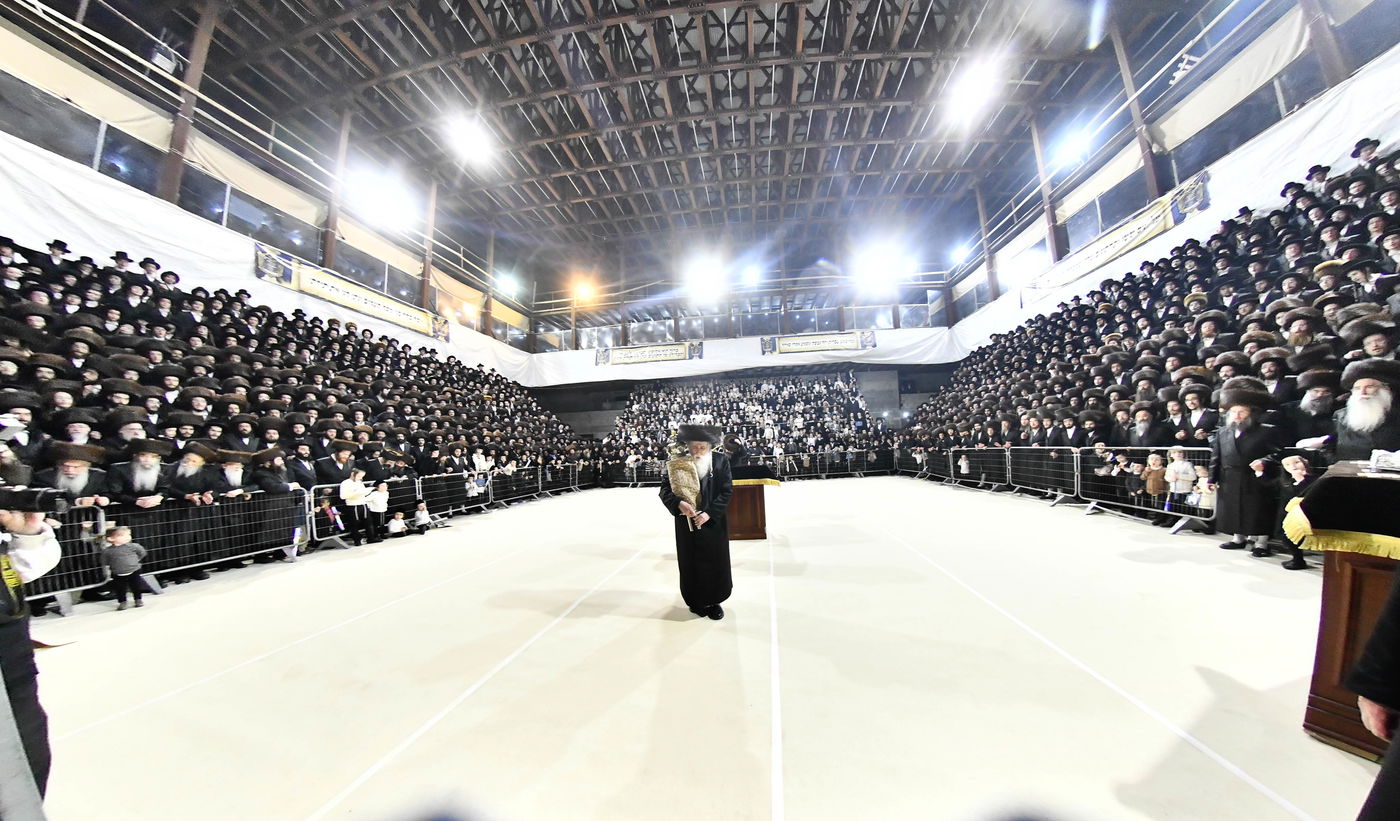 הכנסת ס"ת במכנובקא בעלזא