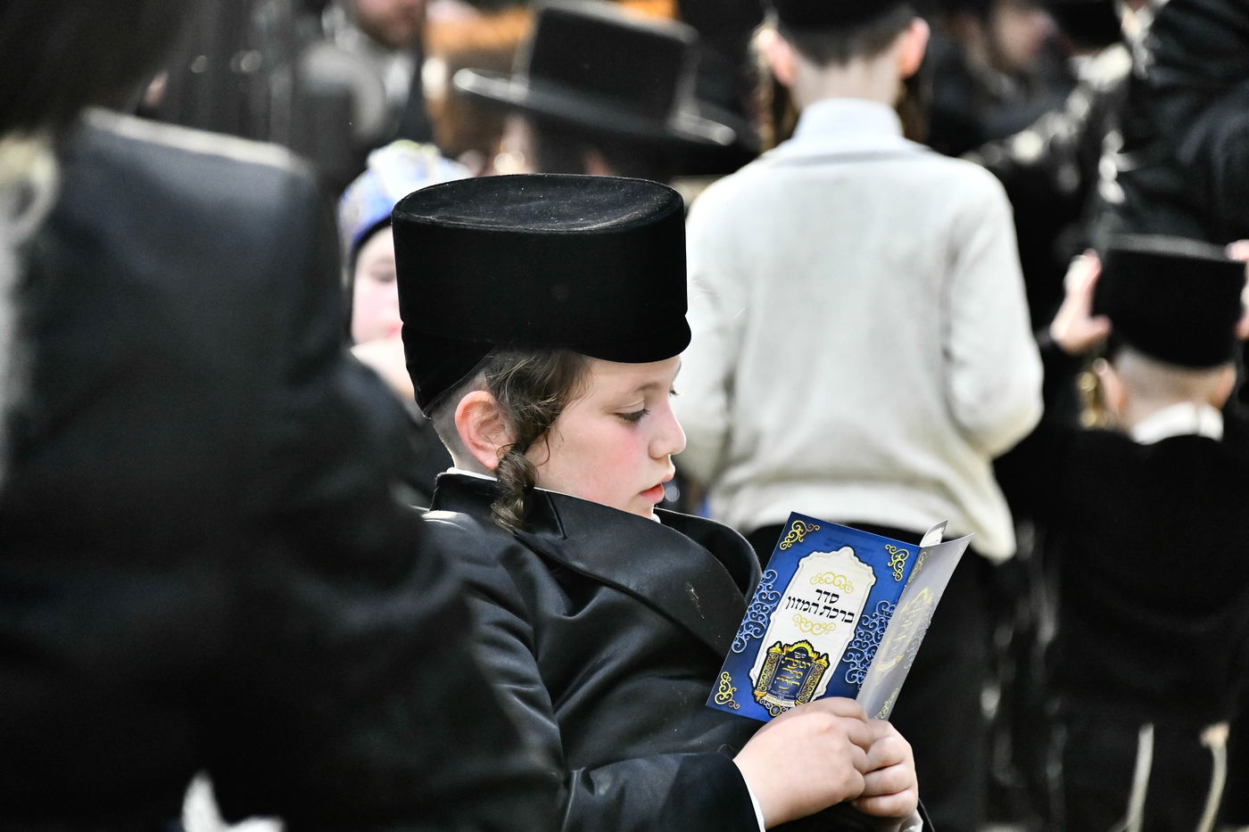 הכנסת ס"ת במכנובקא בעלזא