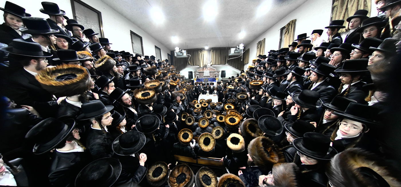 הכנסת ס"ת במכנובקא בעלזא