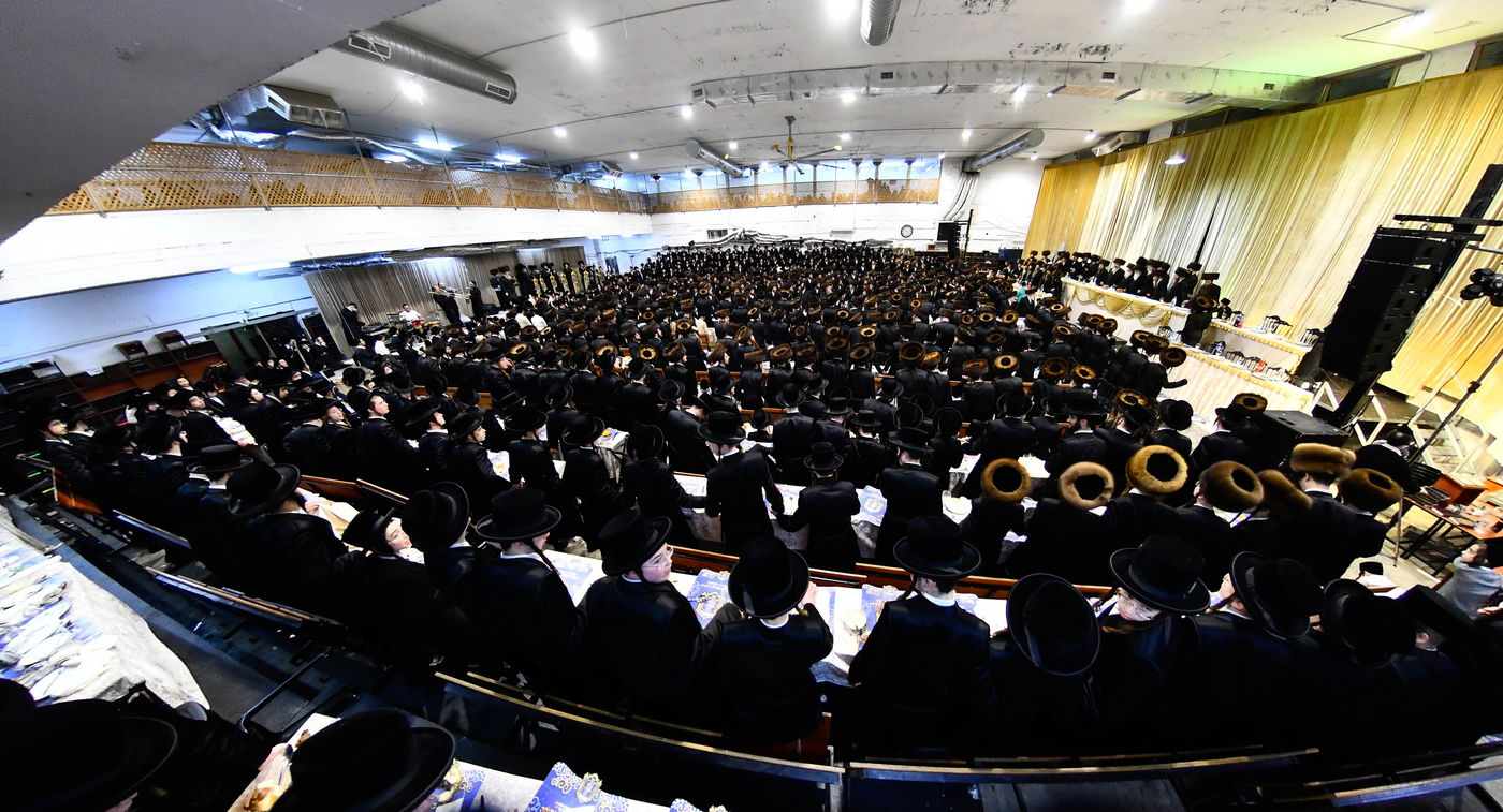 הכנסת ס"ת במכנובקא בעלזא