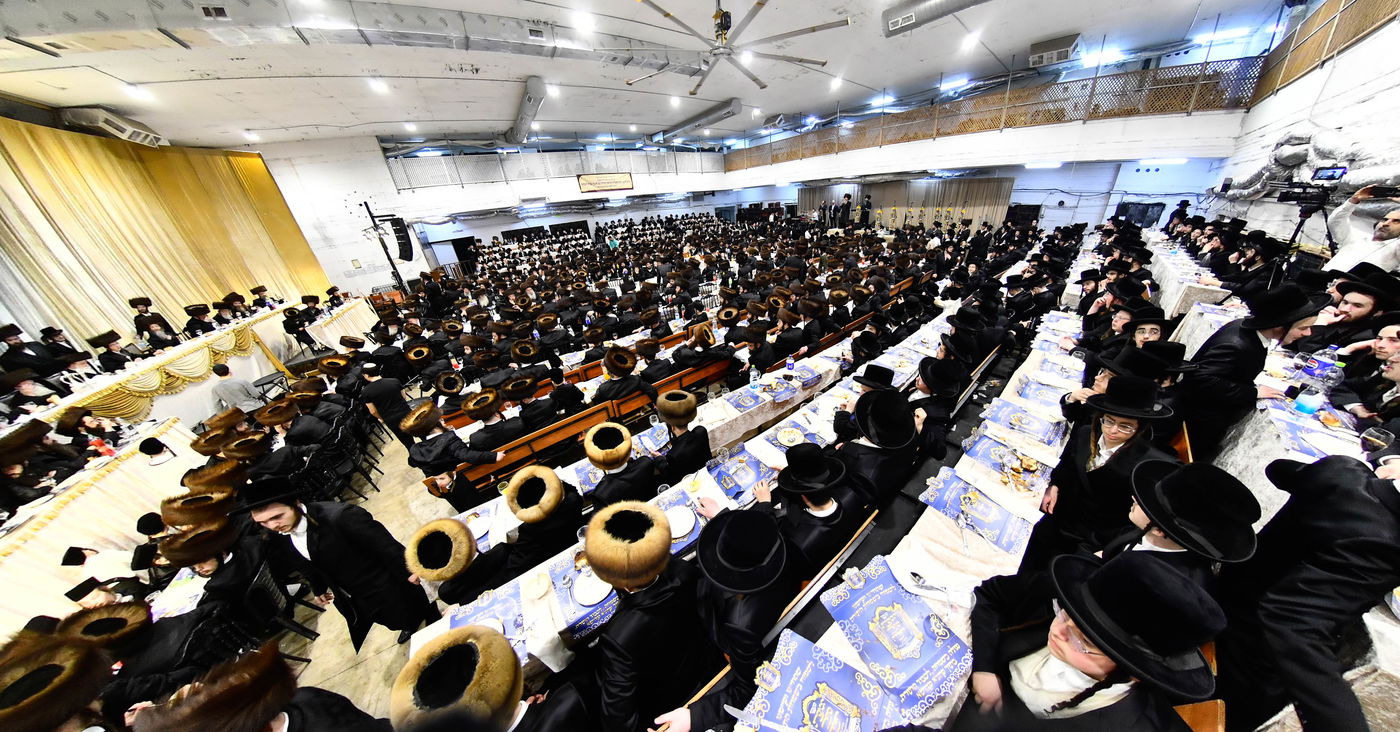 הכנסת ס"ת במכנובקא בעלזא