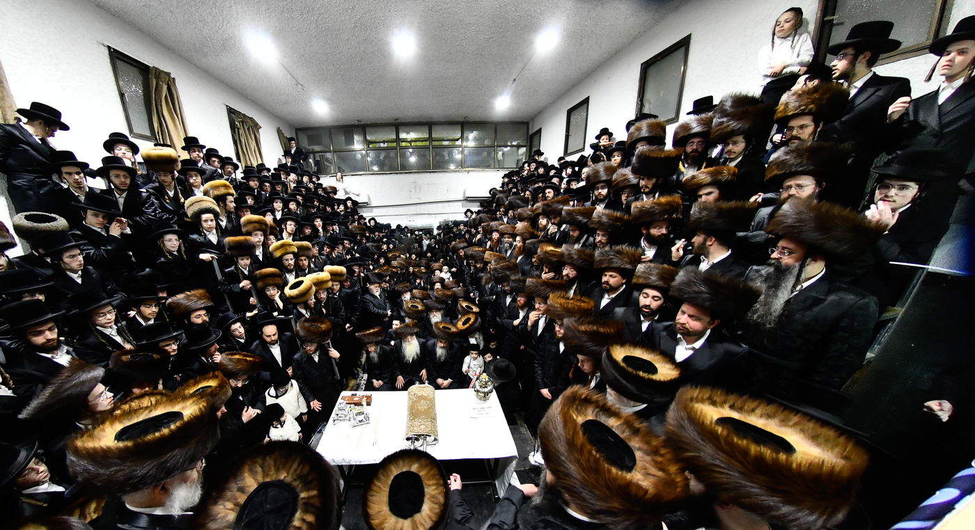 הכנסת ס"ת במכנובקא בעלזא