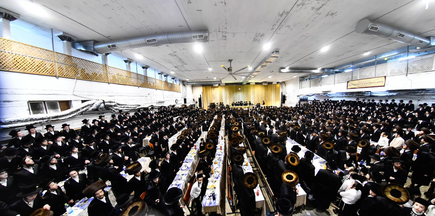 הכנסת ס"ת במכנובקא בעלזא