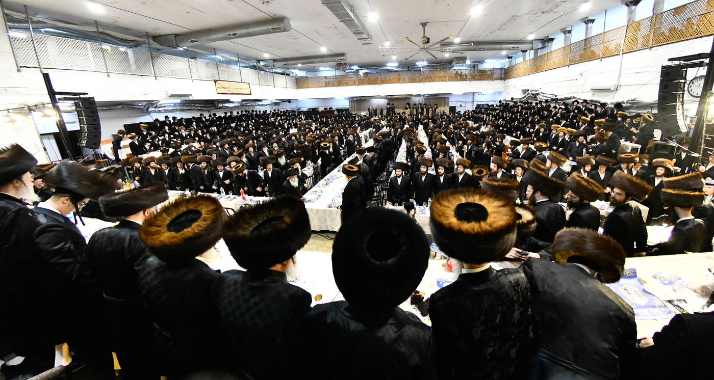 הכנסת ס"ת במכנובקא בעלזא