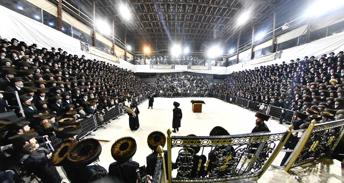 הכנסת ס"ת במכנובקא בעלזא