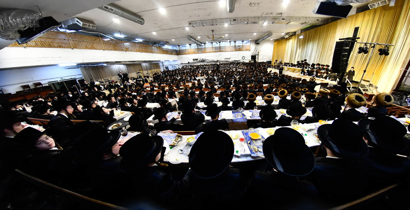 הכנסת ס"ת במכנובקא בעלזא