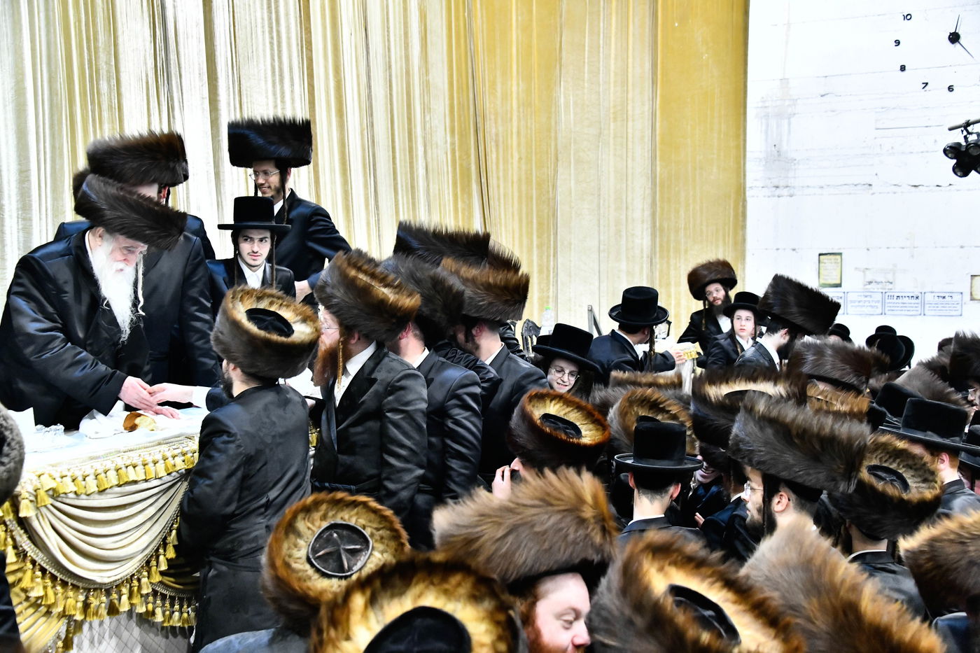 הכנסת ס"ת במכנובקא בעלזא