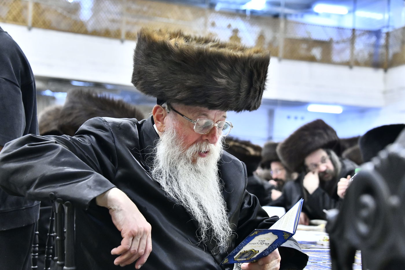 הכנסת ס"ת במכנובקא בעלזא