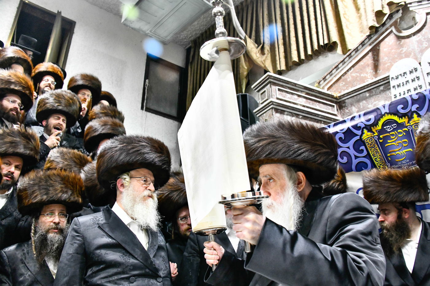 הכנסת ס"ת במכנובקא בעלזא