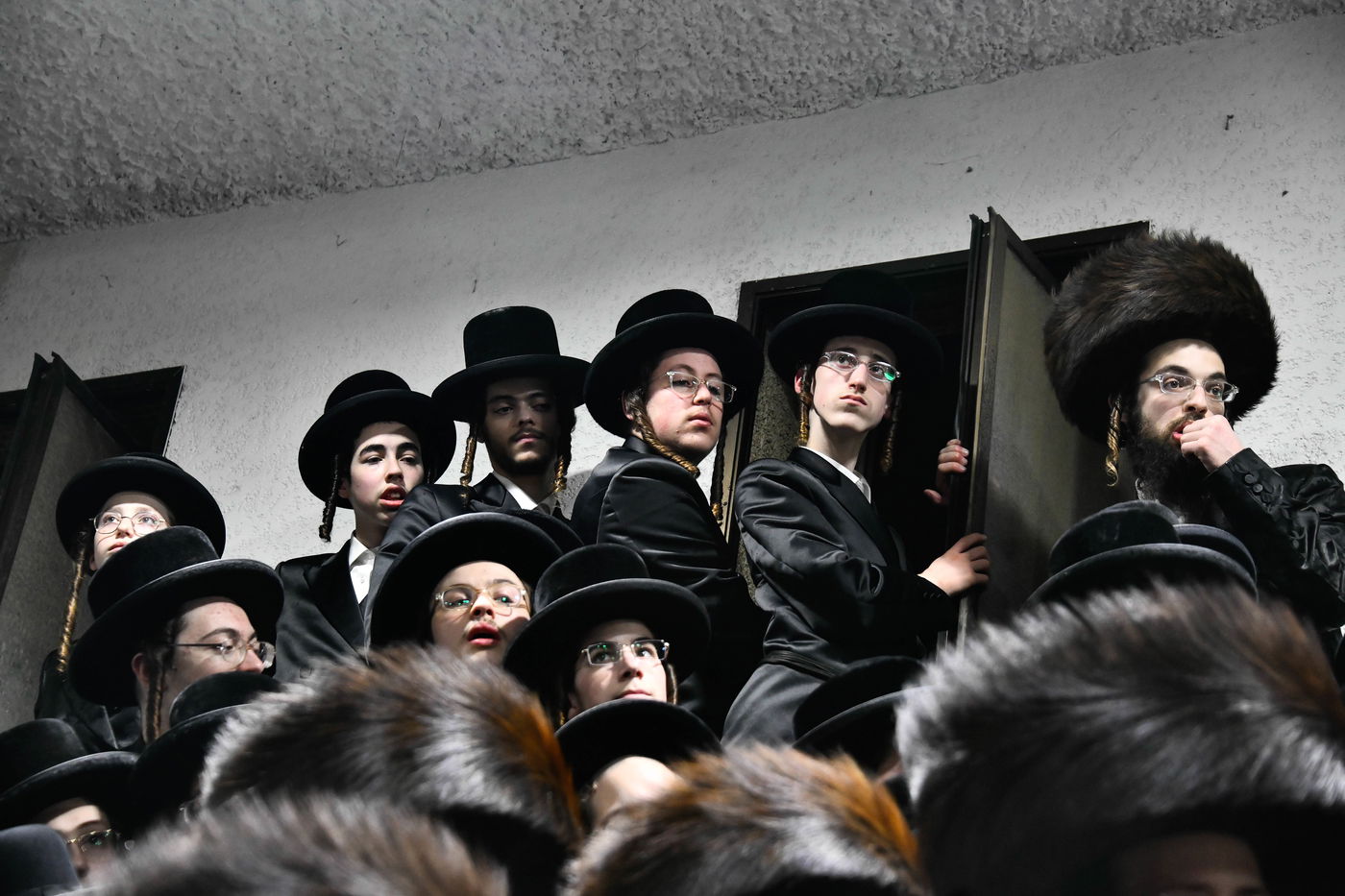 הכנסת ס"ת במכנובקא בעלזא