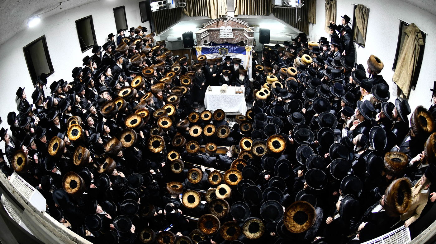 הכנסת ס"ת במכנובקא בעלזא