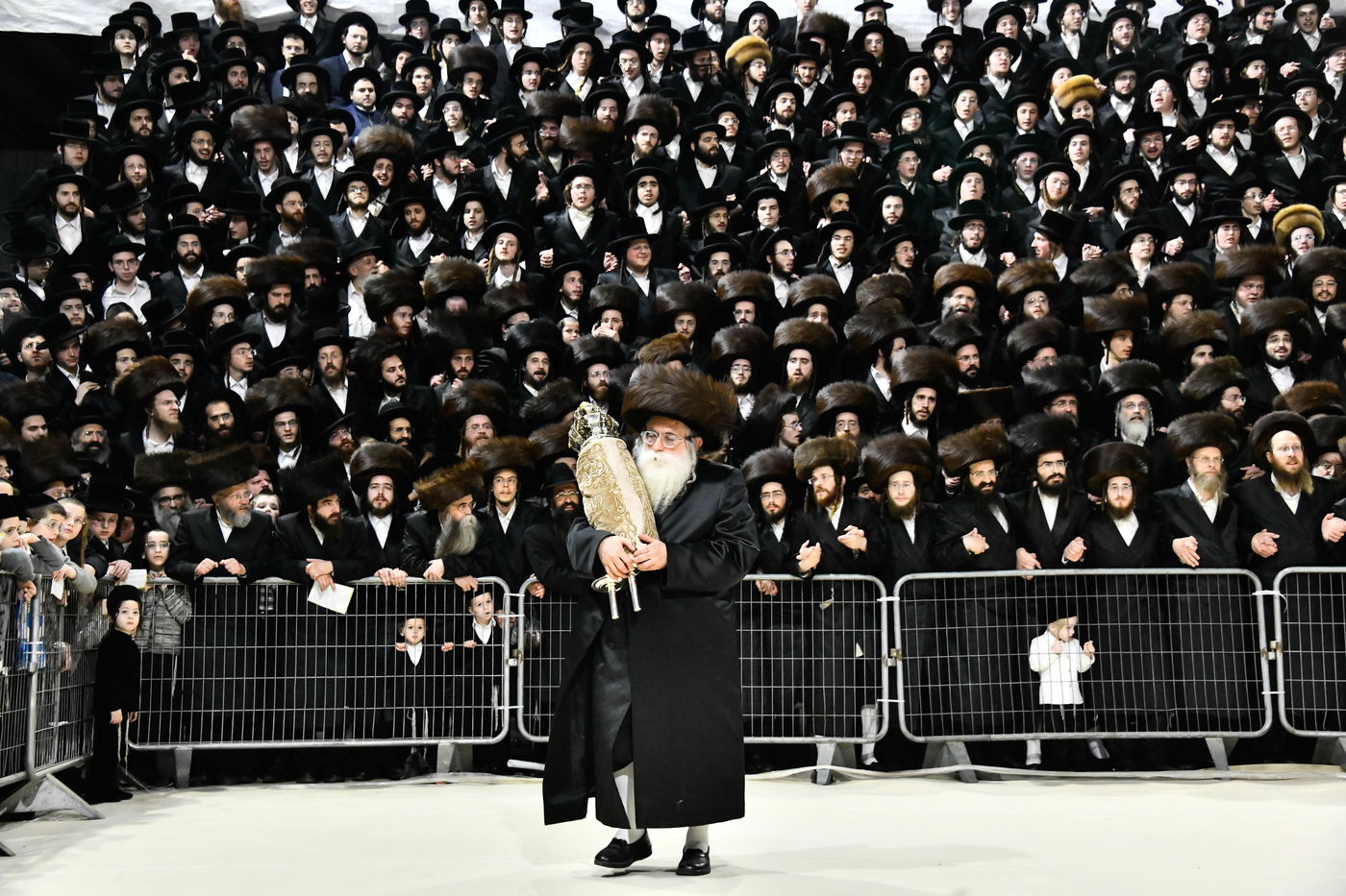 הכנסת ס"ת במכנובקא בעלזא