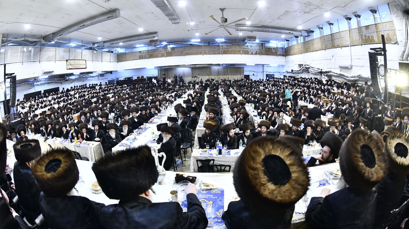 הכנסת ס"ת במכנובקא בעלזא