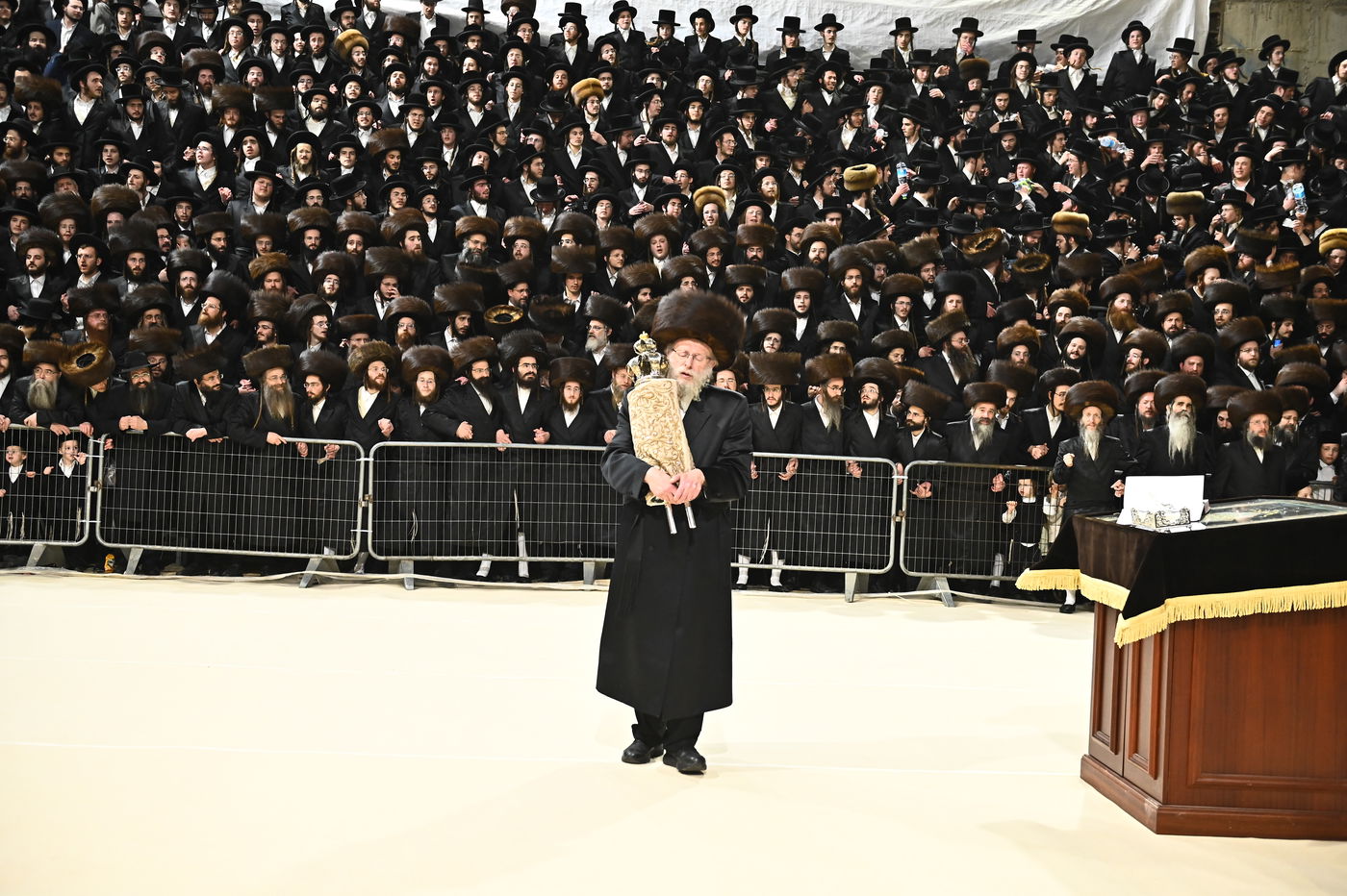 הכנסת ס"ת במכנובקא בעלזא