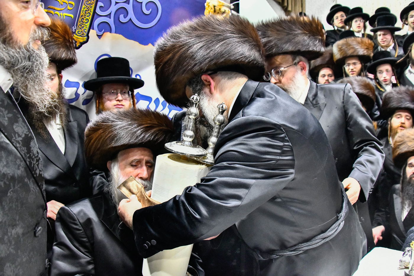 הכנסת ס"ת במכנובקא בעלזא