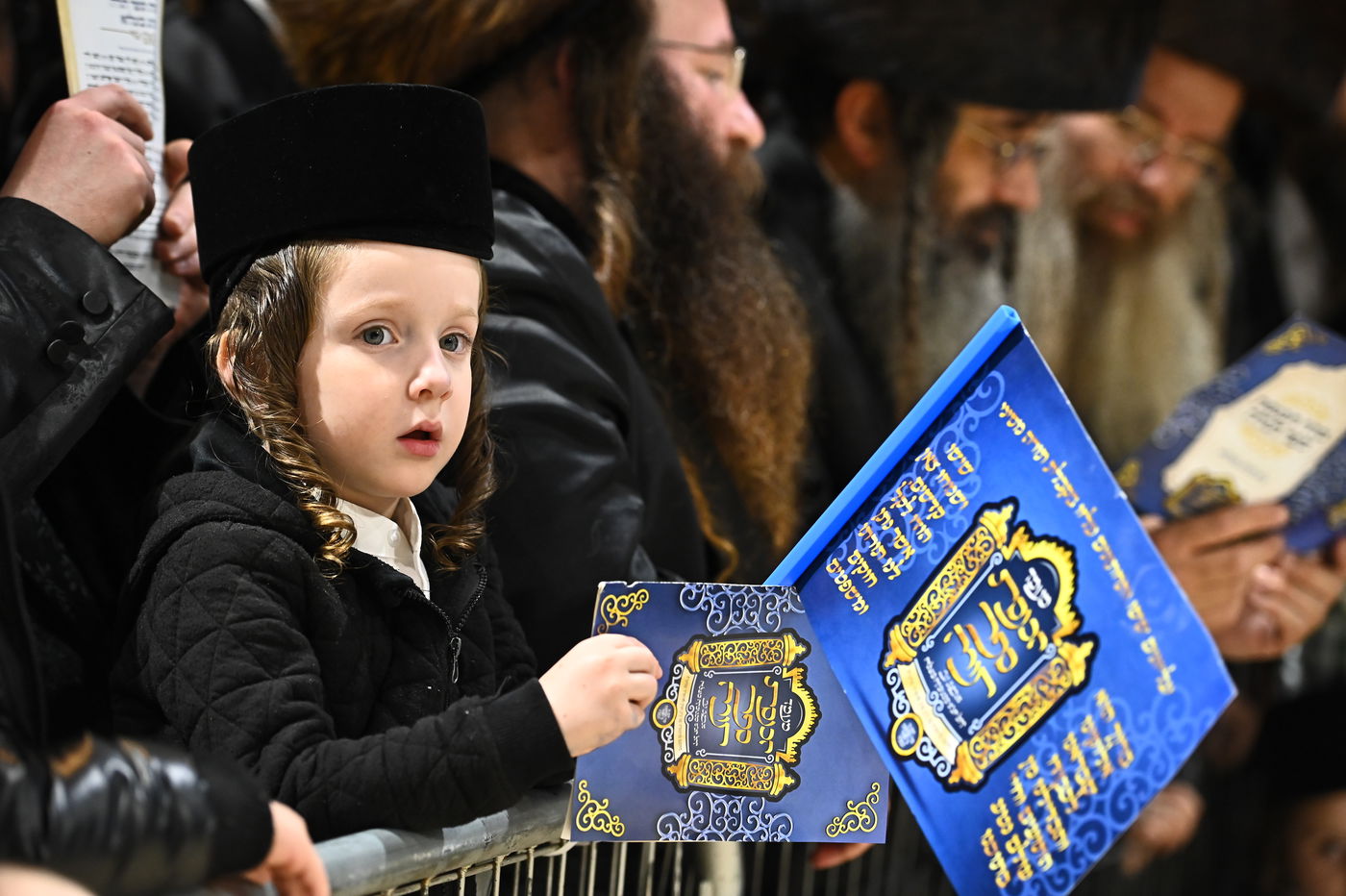 הכנסת ס"ת במכנובקא בעלזא