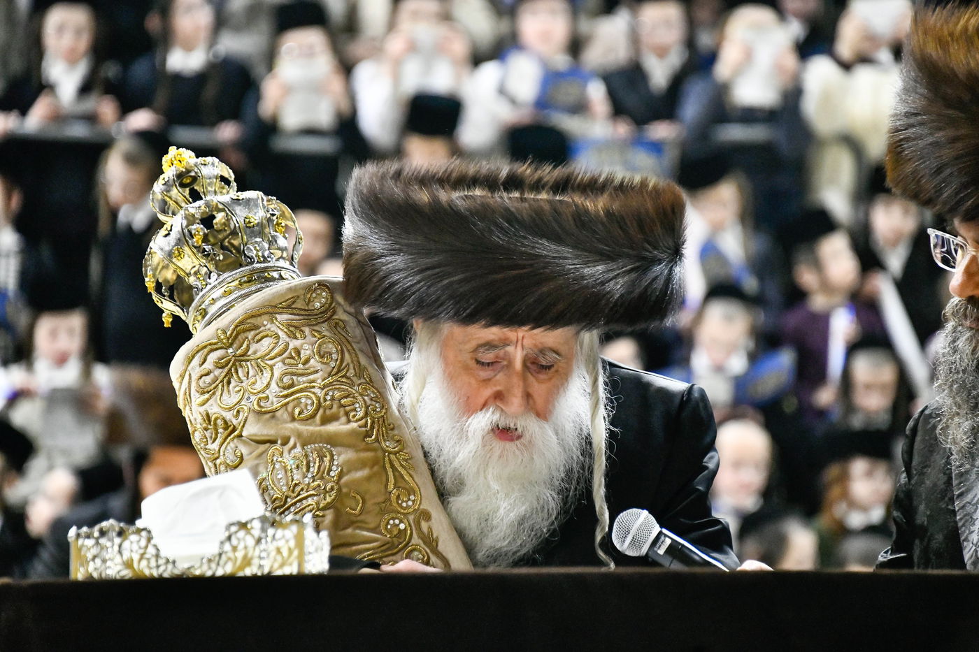 הכנסת ס"ת במכנובקא בעלזא