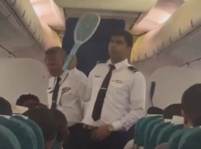 הדייל עם המחבט החשמלי