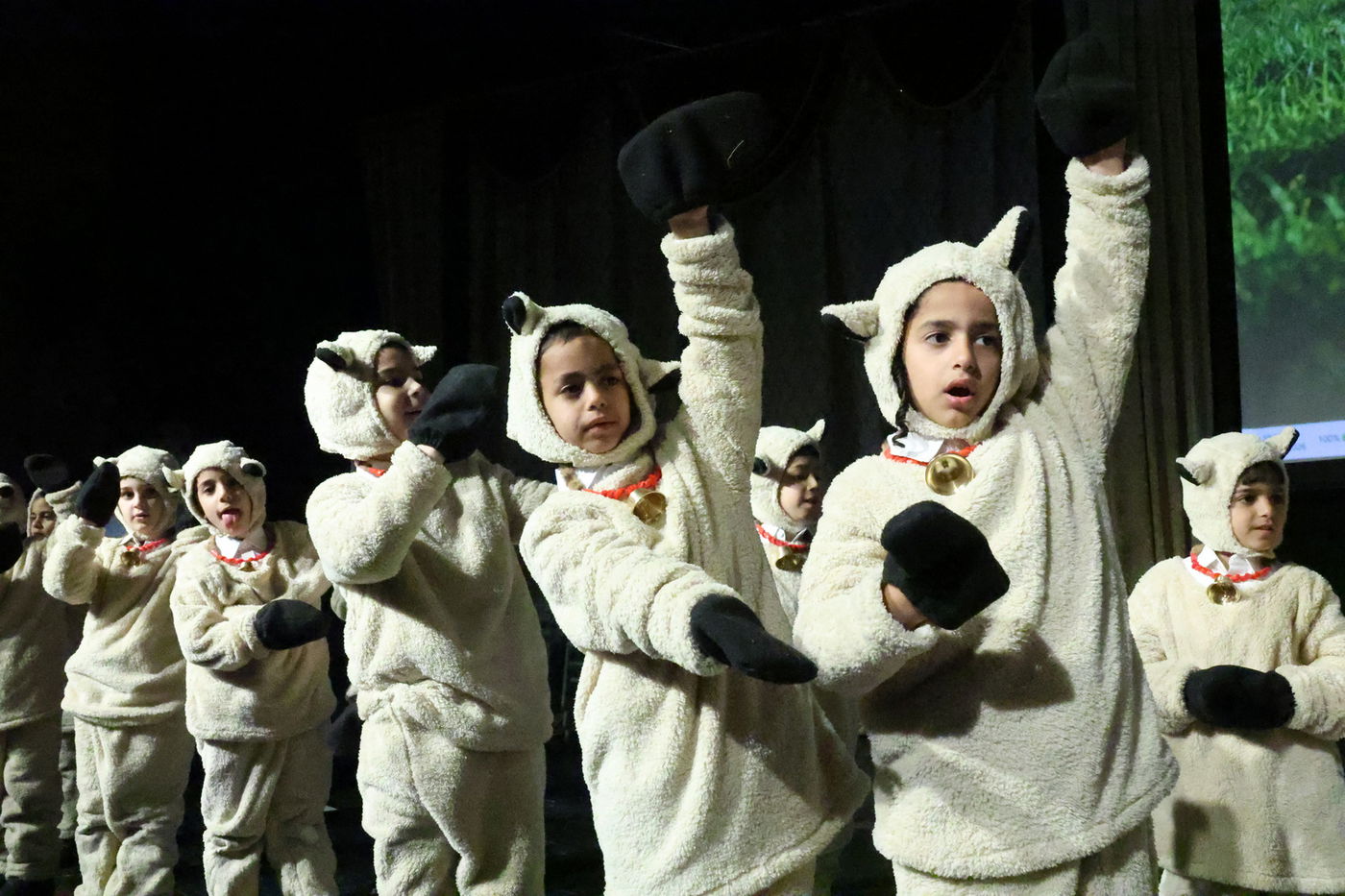 מסיבת חומש בתלמוד תורה נטיעים בפ"ת