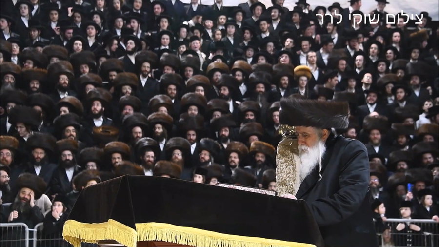 הכנסת ס"ת במכנובקא בעלזא