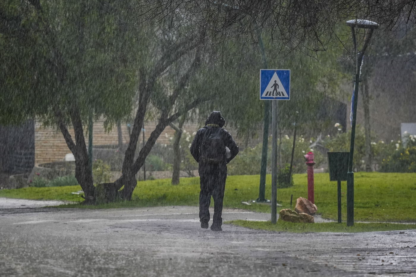 התחזית: הגשם חוזר מלווה בסופות רעמים | חשש קל לשיטפונות