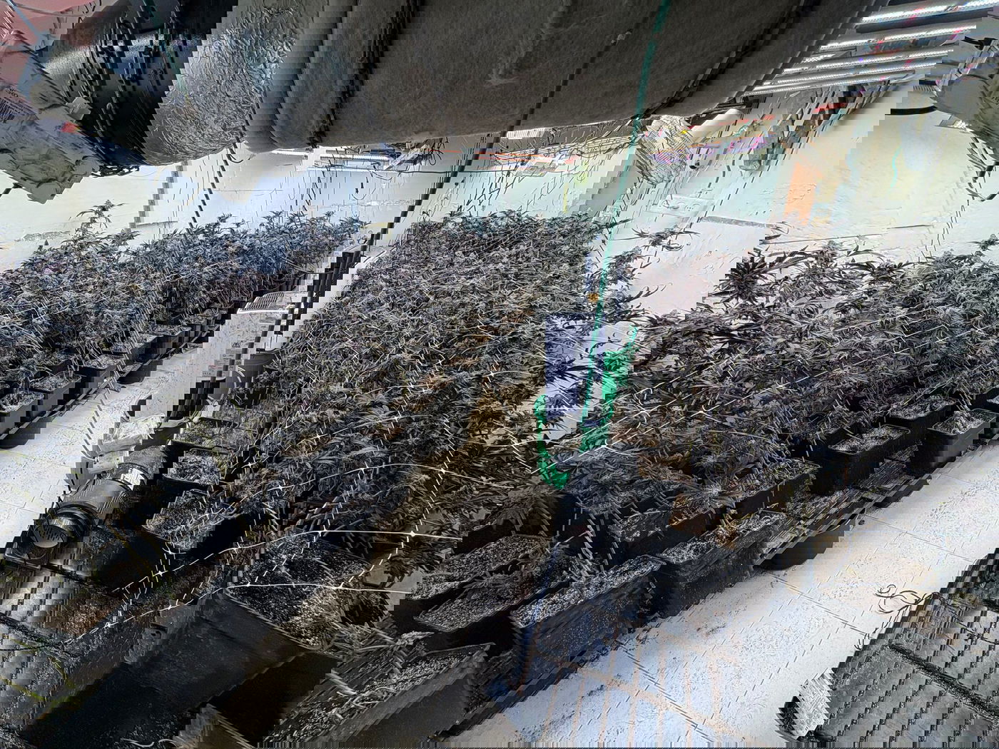 מאבק חסר פשרות: זה מה שגילו הבלשים בתוך הדירה בעיר החרדית