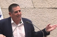 "תוריד אותו; למה מי אתה בכלל?" | צפו בתיעוד מהמהומה על הדוכן במליאה