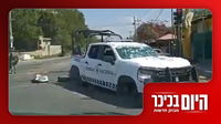 מקסיקו בוערת לאחר חיסול ראש הקרטל והקוף הקטן שריגש את העולם