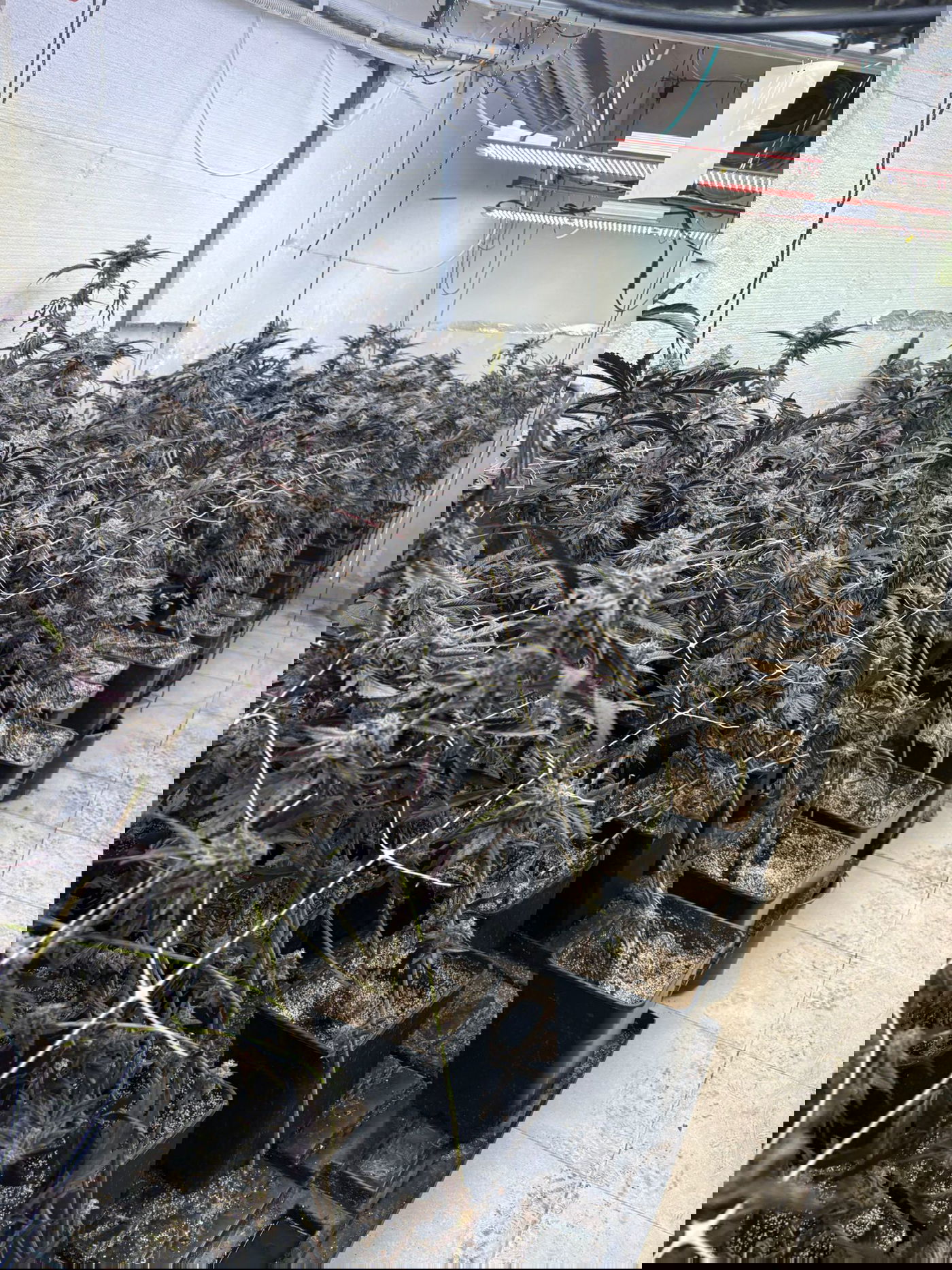 מאבק חסר פשרות: זה מה שגילו הבלשים בתוך הדירה בעיר החרדית