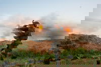 חיסול עשרות מחבלים והשמדת מנהרות | תיעודים חדשים של הלחימה בעזה