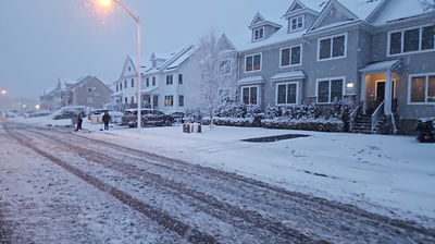 מראות השלג בארה"ב  - אדר תשפ"ו