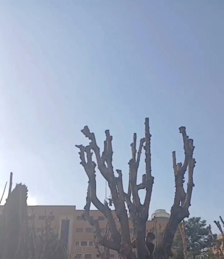 מרד בטהרן